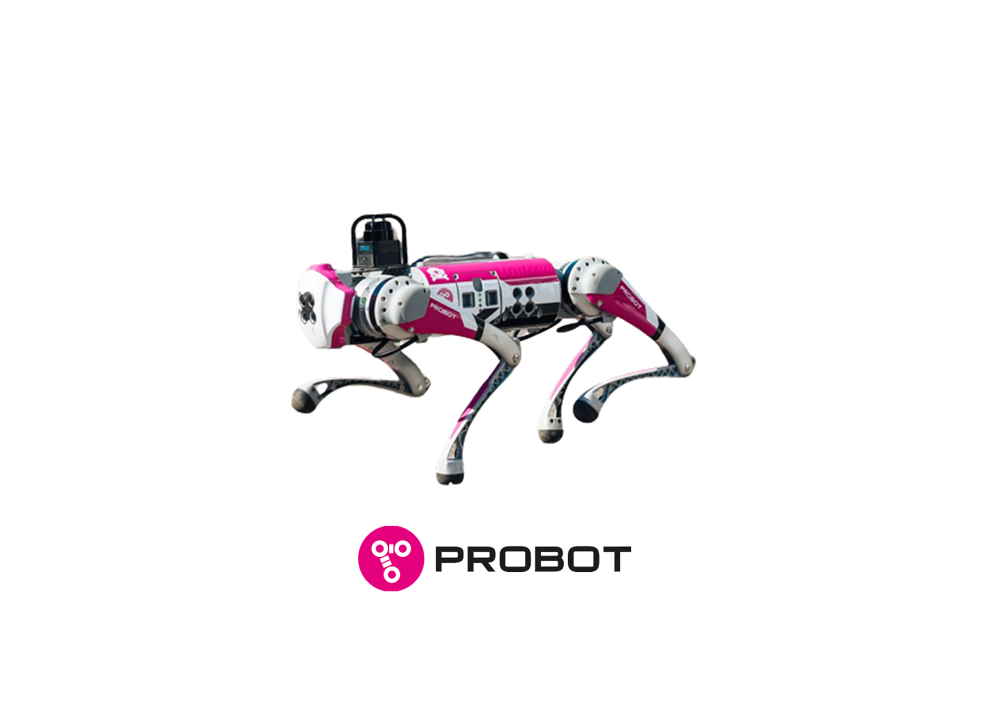 Probot robot dog prototype for classroom education